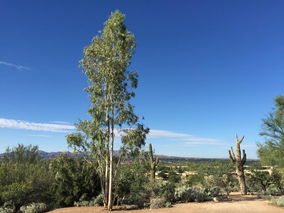 Ausblick von Zimmer gen Norden Hotel Hilton El Conquistador