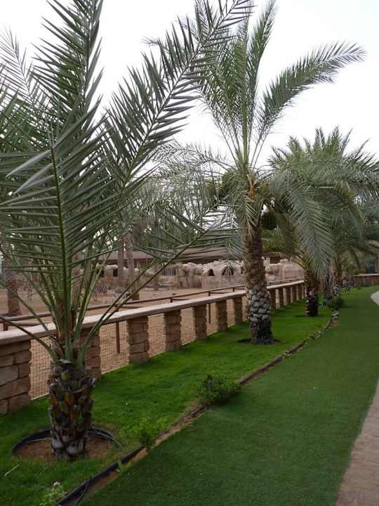 Внутри отеля Hotel Emirates Park Resort