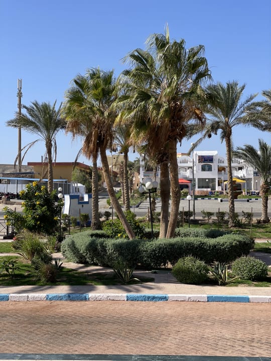 Gartenanlage Blue Reef Red Sea Resort