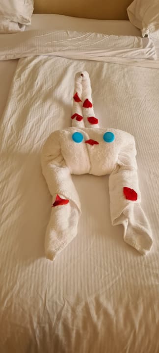 Zimmer Malikia Resort Abu Dabbab