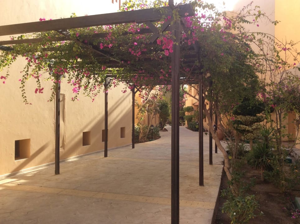 Wege im Hotel  Steigenberger Coraya Beach - Adults only