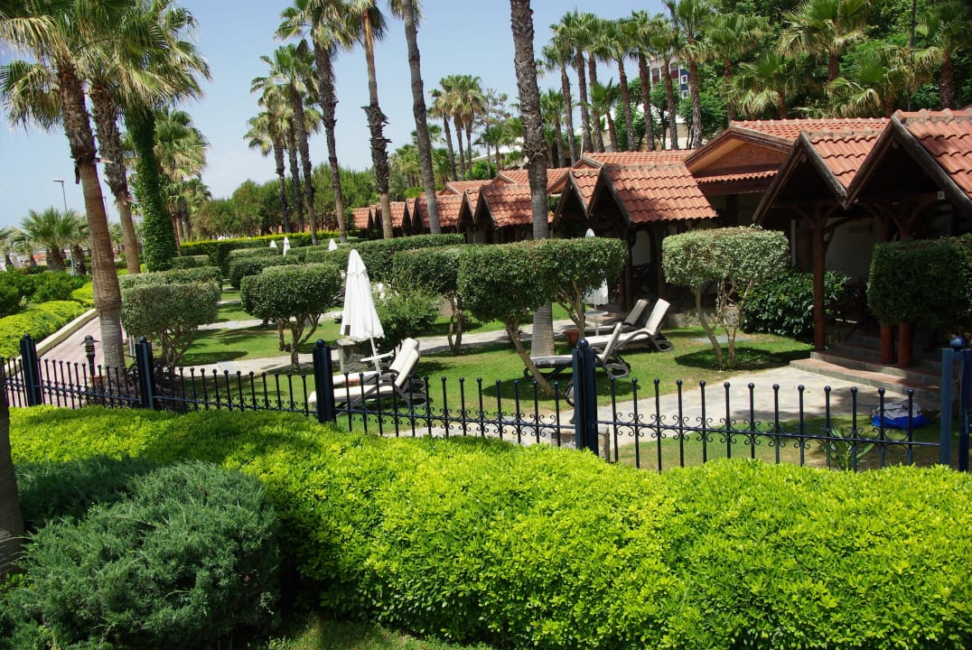 Garten mit den Bungalow`s  Kamelya Aishen Club