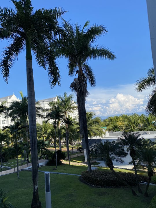 Ausblick Hotel Riu Ocho Rios