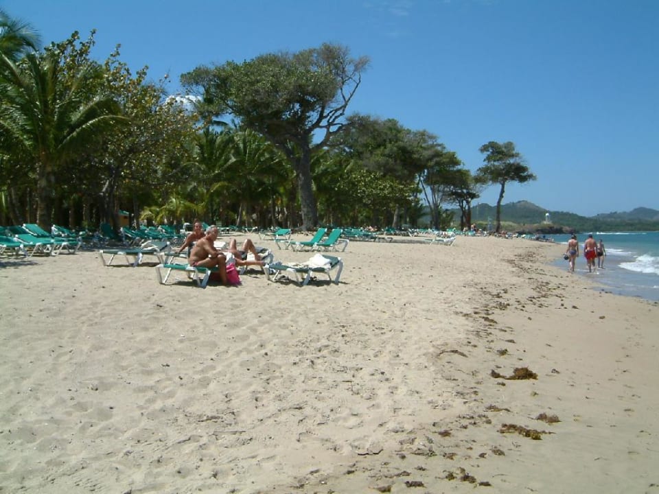 Riu Bachata Nordküste Dom rep / Maimon Senator Puerto Plata Hotel