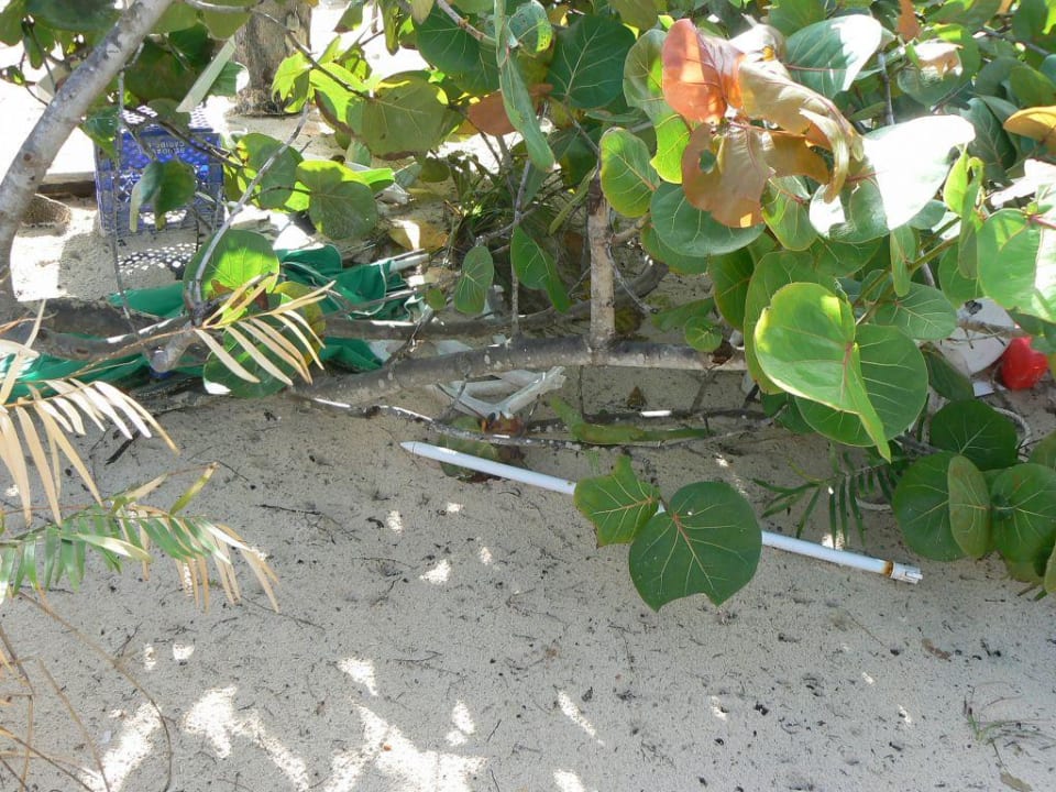 Müllsammelecke am Strand Hotel Grand Palladium Palace Resort, Spa & Casino