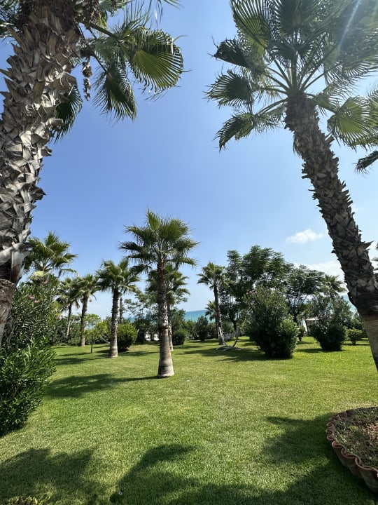 Gartenanlage Hotel Turan Prince