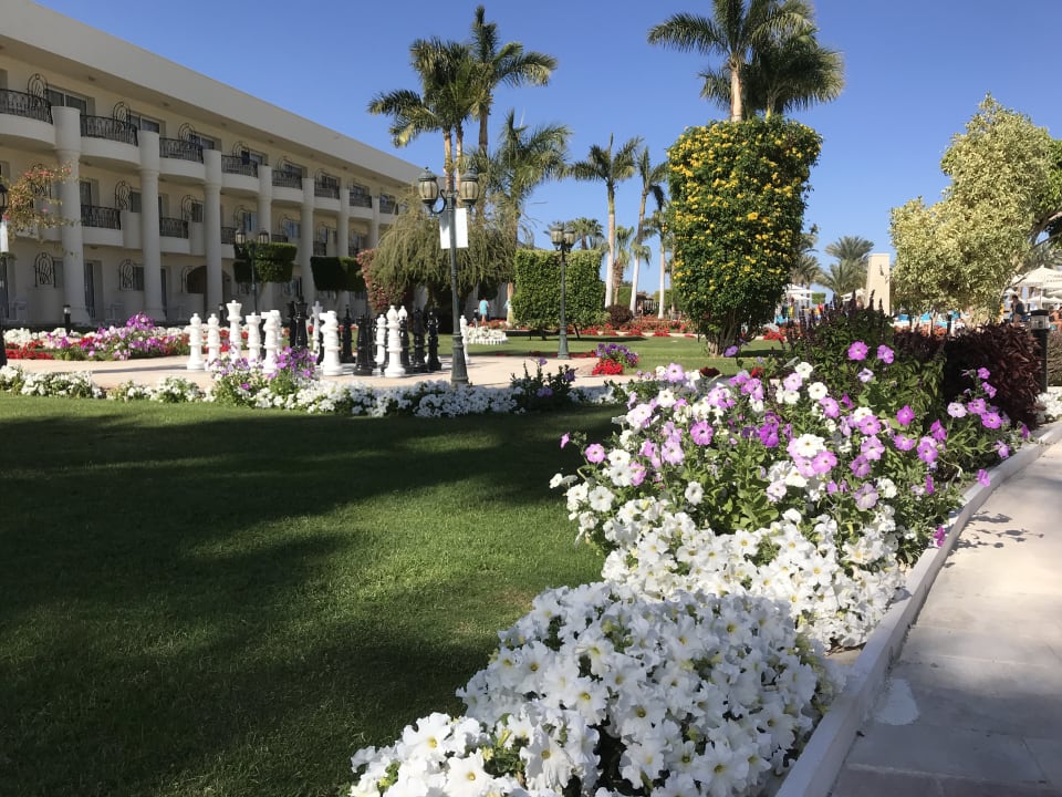 Gartenanlage LABRANDA Royal Makadi