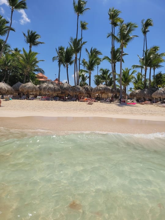 Strand TRS Turquesa Hotel - Adults only