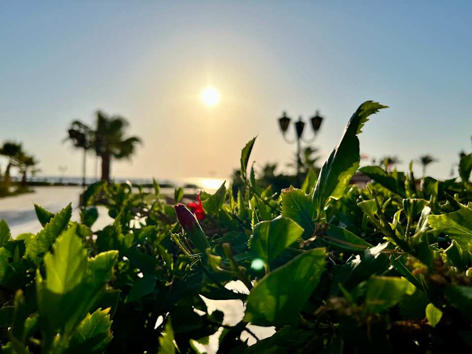 Gartenanlage Casa Mare Resort