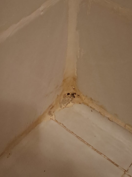 Zimmer Occidental Boa Vista Beach