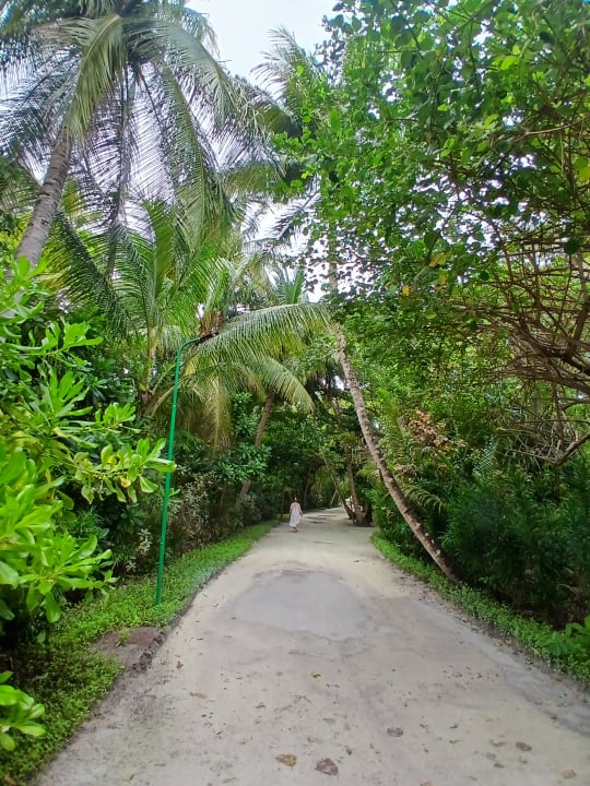 Gartenanlage Meeru Maldives Resort Island