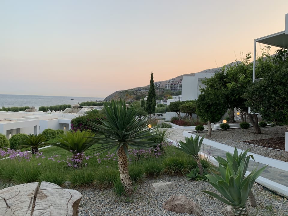 Ausblick Dimitra Beach Hotel & Suites