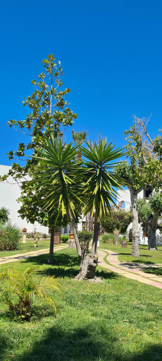 Gartenanlage Gaia Garden Hotel
