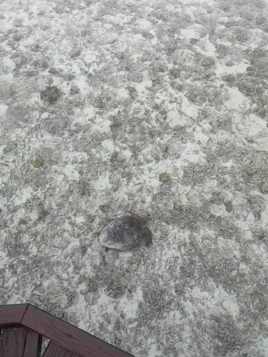 Strand Adaaran Select Hudhuran Fushi - Premium All Inclusive