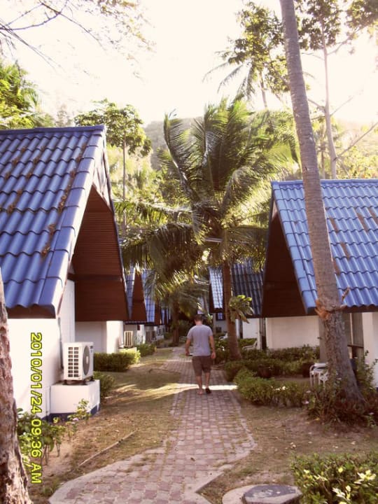 Bungalowanlage Hotel Coral Island Resort