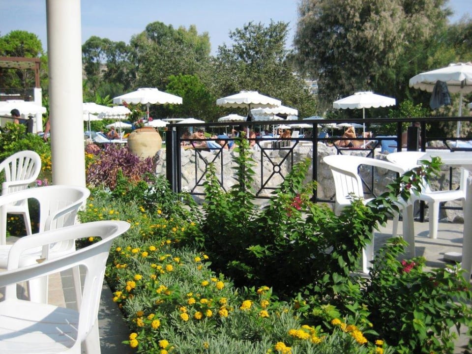 Poolbar & Liegewiese Hotel Calypso Beach