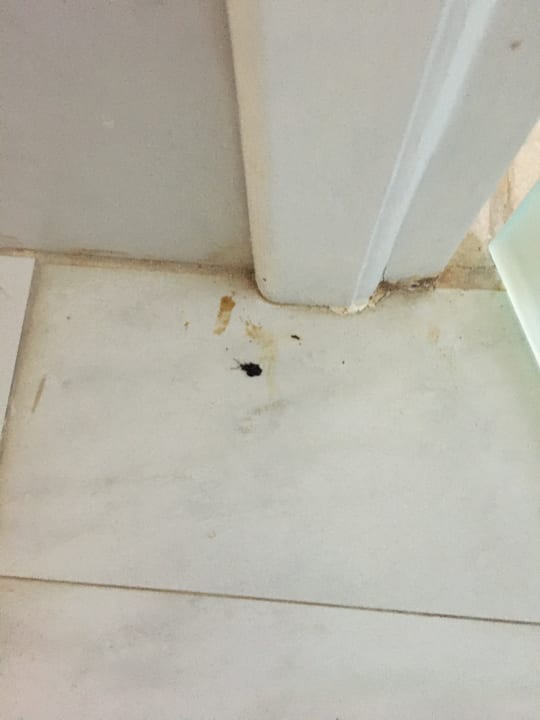 Zimmer Delfina Tropic Beach