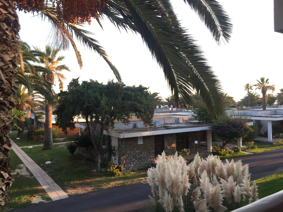Garten vom Zimmer aus Civitel Creta Beach