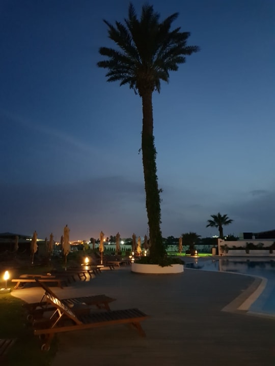 Pool Club Salammbô Hammamet