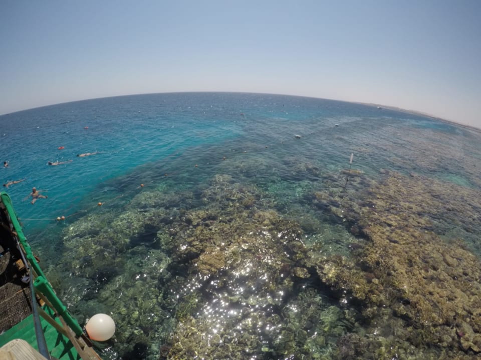 Strand Makadi Spa - Adults only