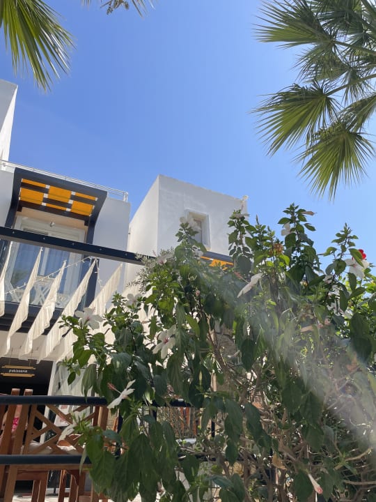 Zimmer Charm Beach Hotel