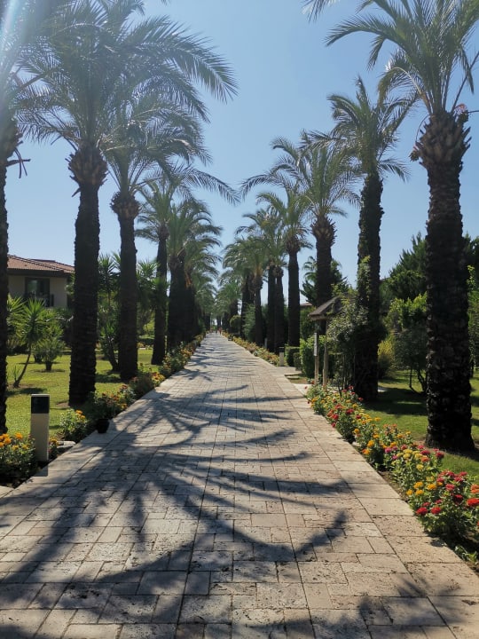 Gartenanlage TUI BLUE Palm Garden
