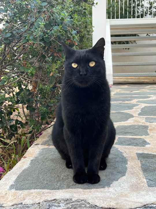 Sport & Freizeit Creta Maris Resort