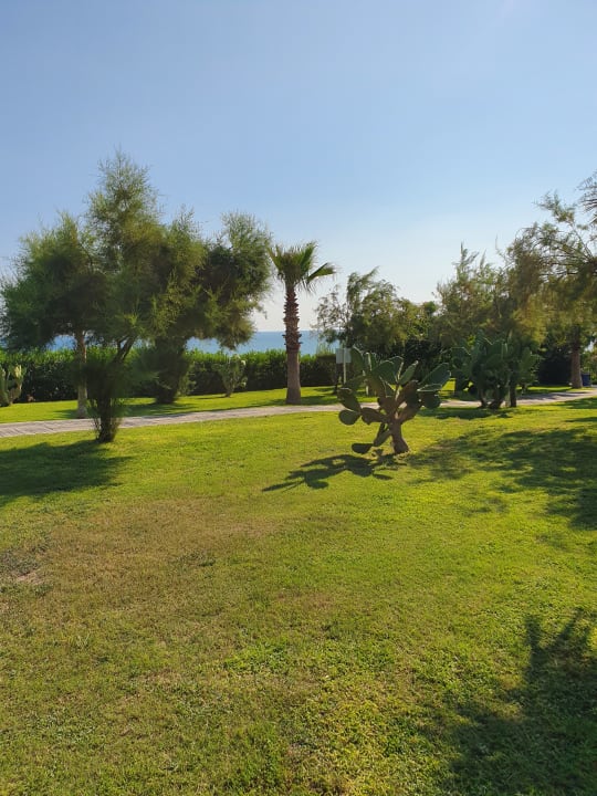 Gartenanlage TUI MAGIC LIFE Jacaranda