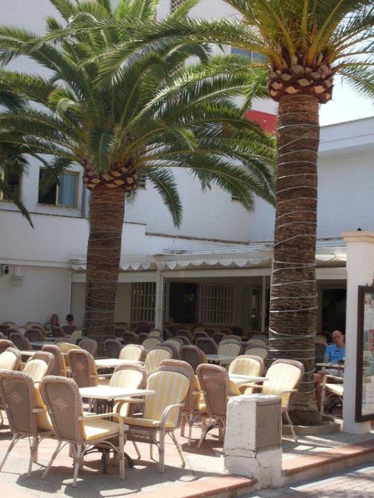 Die schöne Bar vom Niniamar Hotel Biniamar