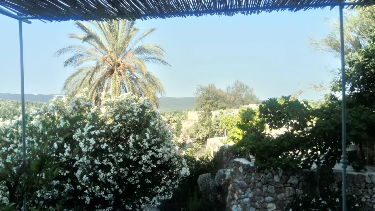 Außenansicht Hotel Masseria Alchimia Resort