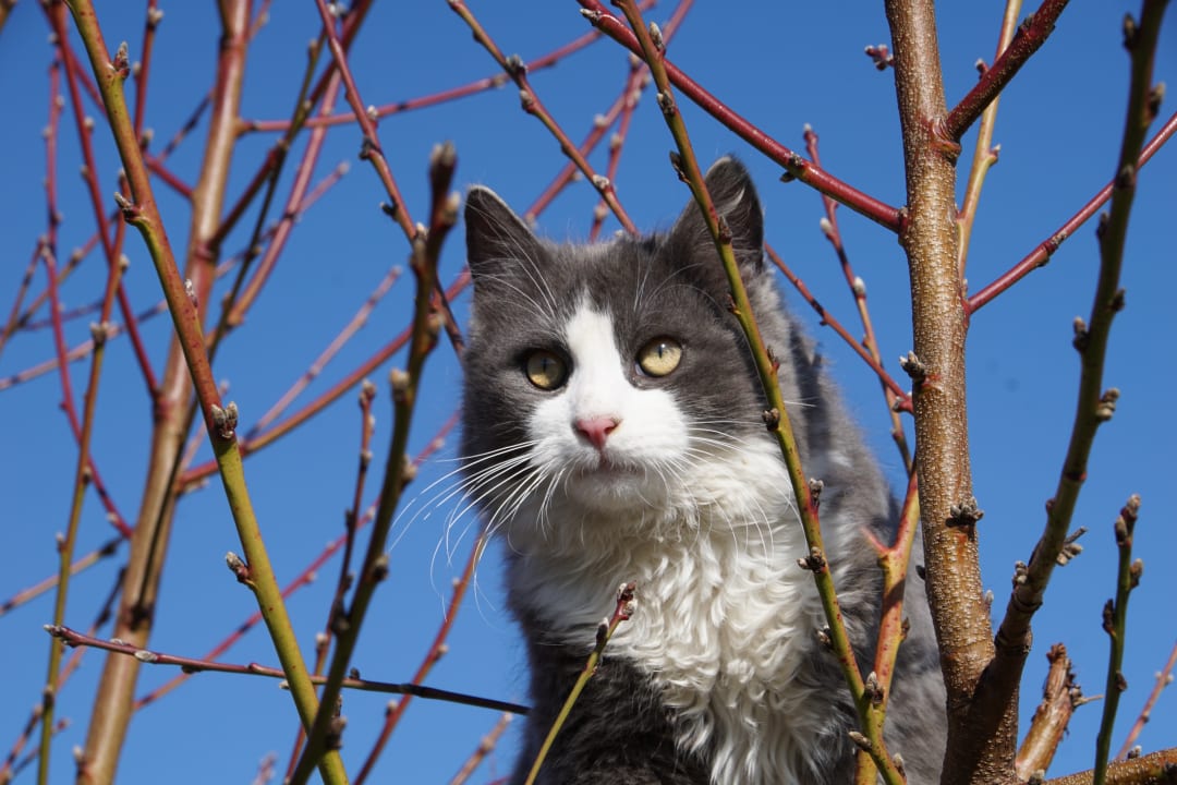 Sonstiges Ferienhof Schmid