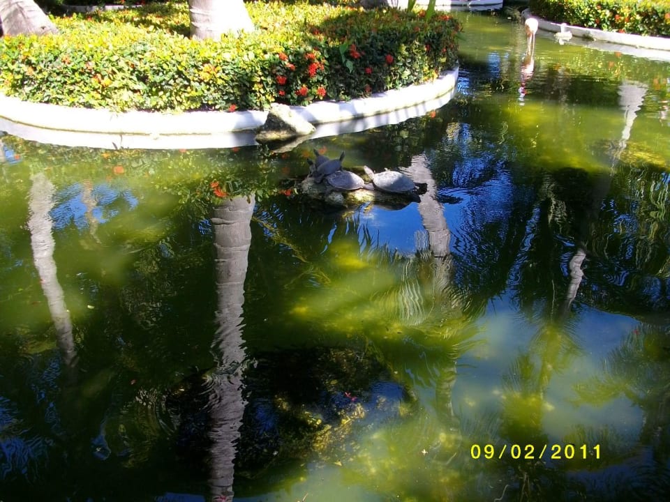 Eingang vom Hotel Grand Palladium Select Bávaro Resort & Spa