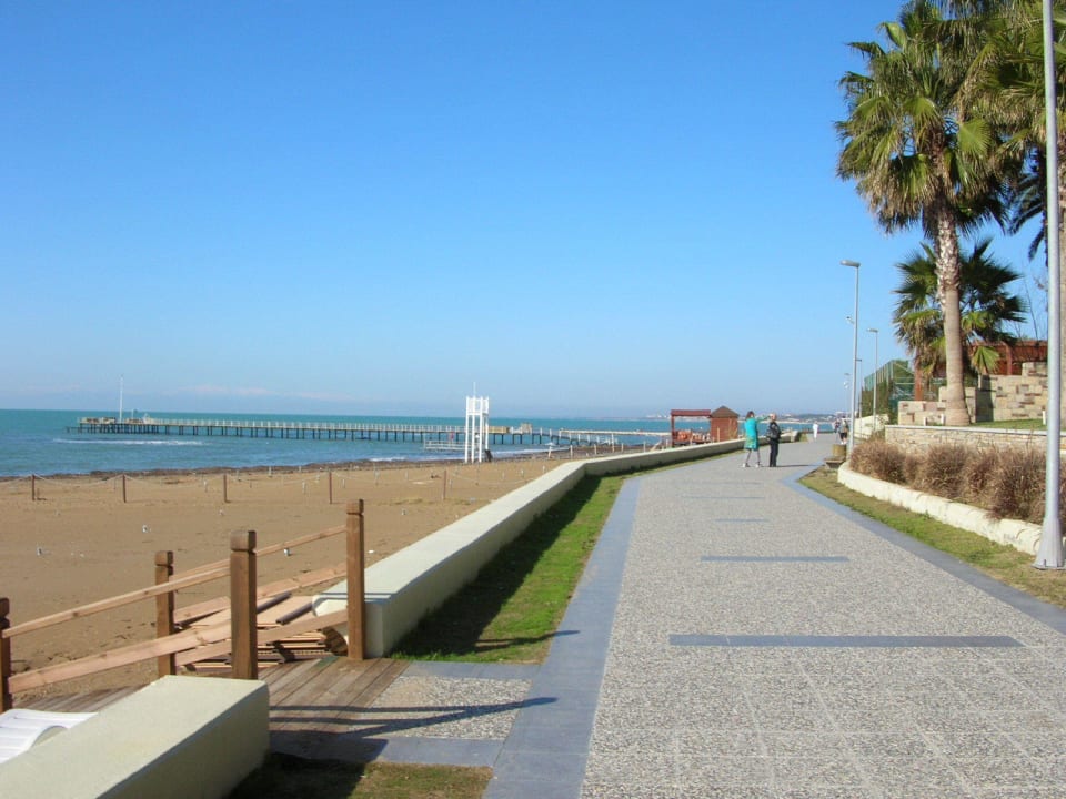 Promenade Arum Barut Collection