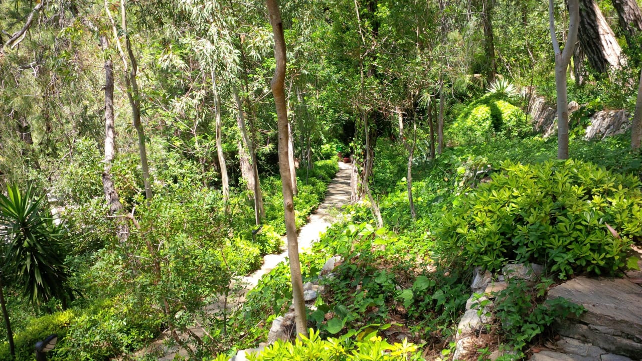 Natur Natur Natur !!!! Hillside Beach Club