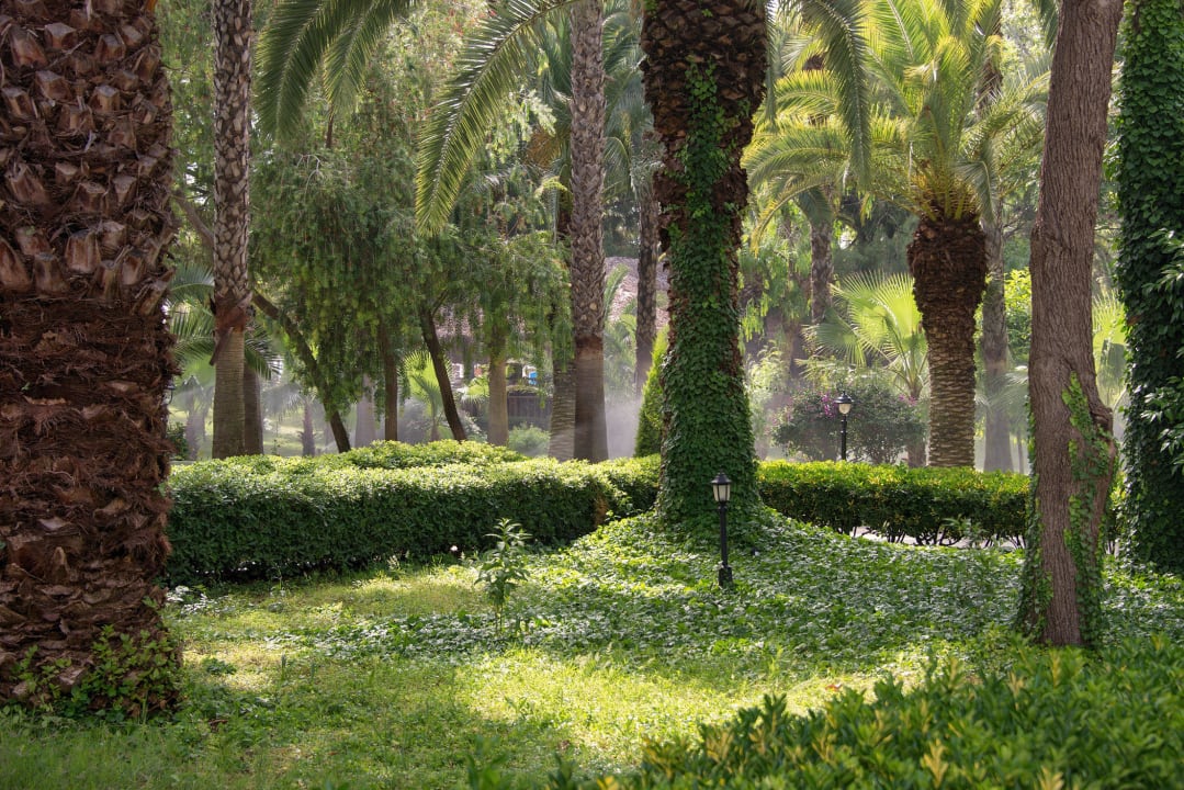 Gartenbewässerung Botanik Hotel & Resort