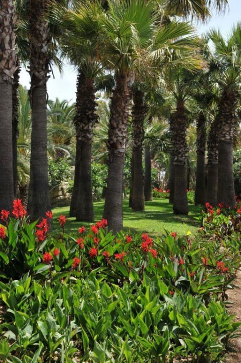 Ein Gartenbild von Vielen Monachus Family Resort Sorgun