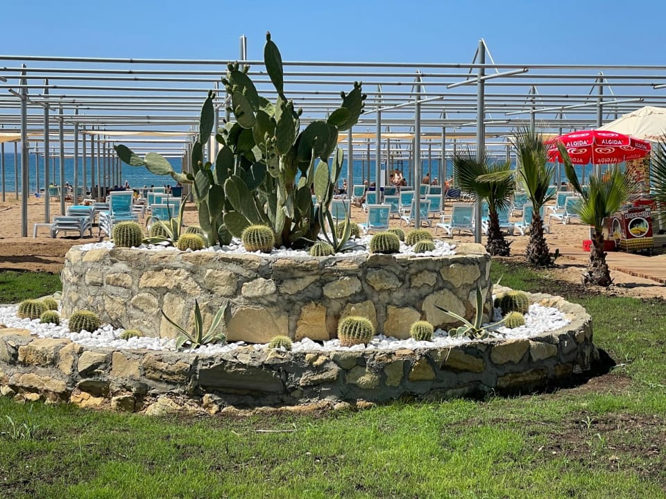 Strand Dream World Palace Hotel