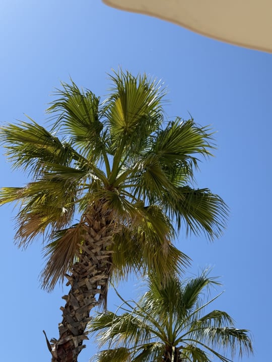 Pool The Land of Legends Kingdom Hotel