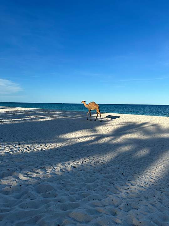 Strand Hotel Southern Palms Beach Resort