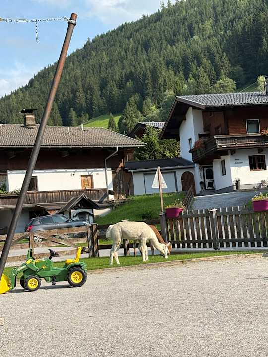 Sport & Freizeit Galtenberg - Family & Wellness Resort