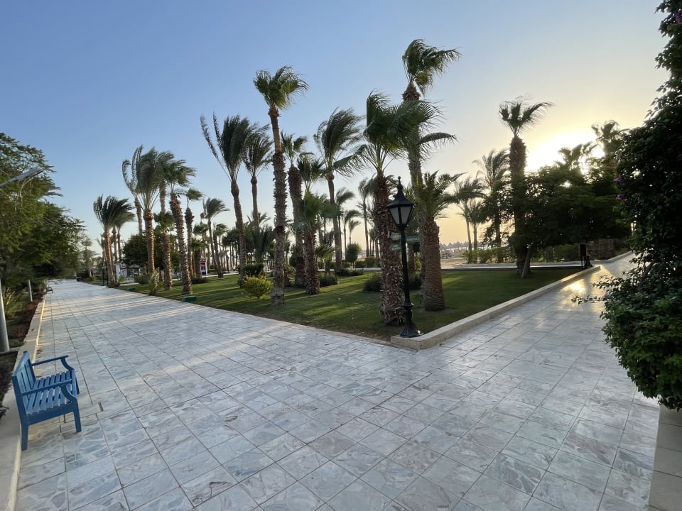 Gartenanlage The Grand Palace - Adults only