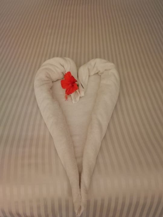 Zimmer MG Alexander The Great Hotel