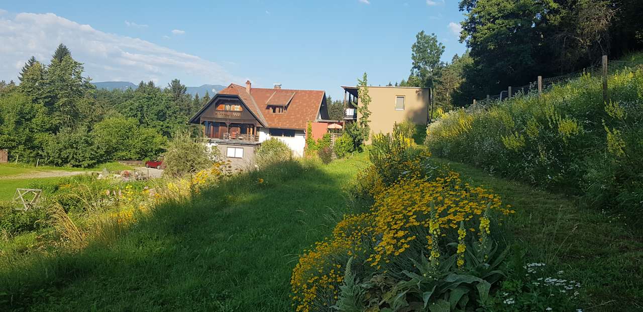 Außenansicht Chalet Forstbauer