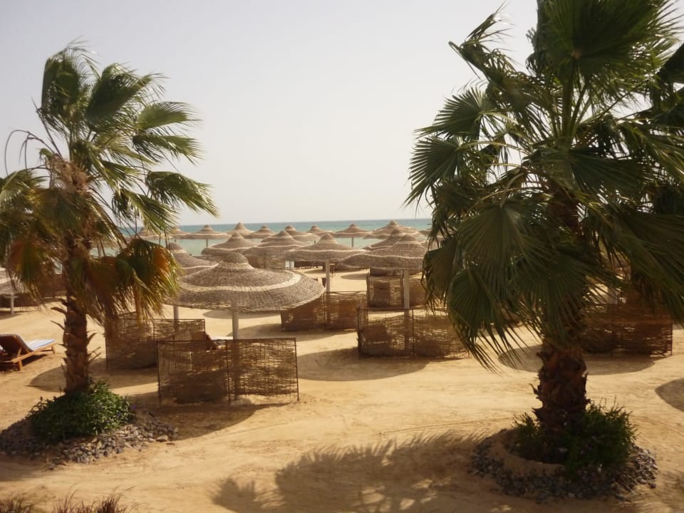 Fragment plaży Amwaj Beach Club Abu Soma Resort