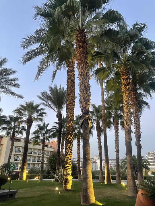 Gartenanlage Hotel Miramare Beach