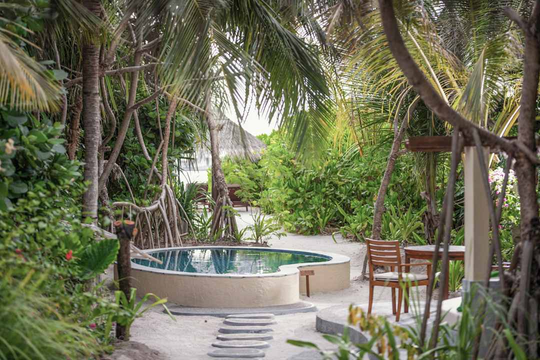Ausblick Coco Palm Dhuni Kolhu