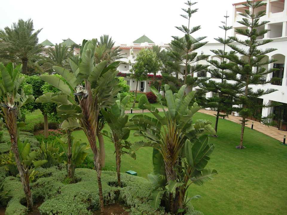 Fragment ogrodu Iberostar Waves Founty Beach