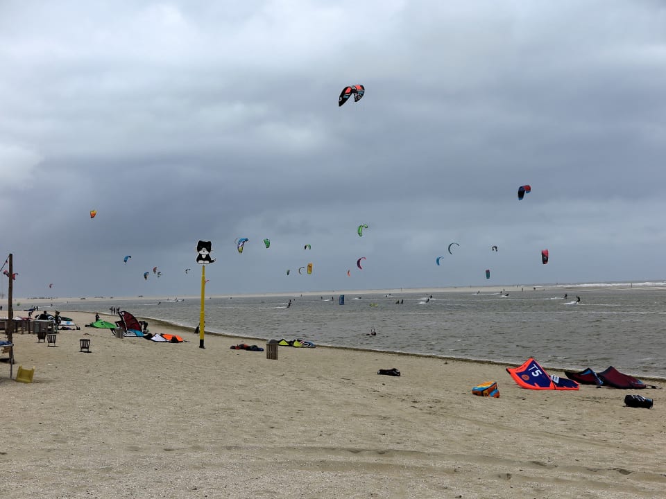 Strand Kussengevecht Dünenvilla