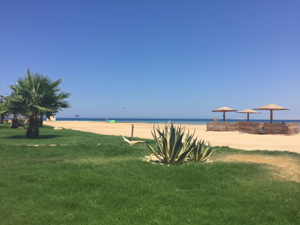 Traumhaftes Wetter Shams Prestige Abu Soma-Adults Only