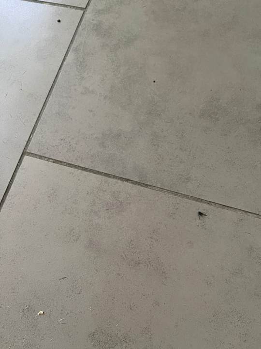 Zimmer Feriendorf Wamel